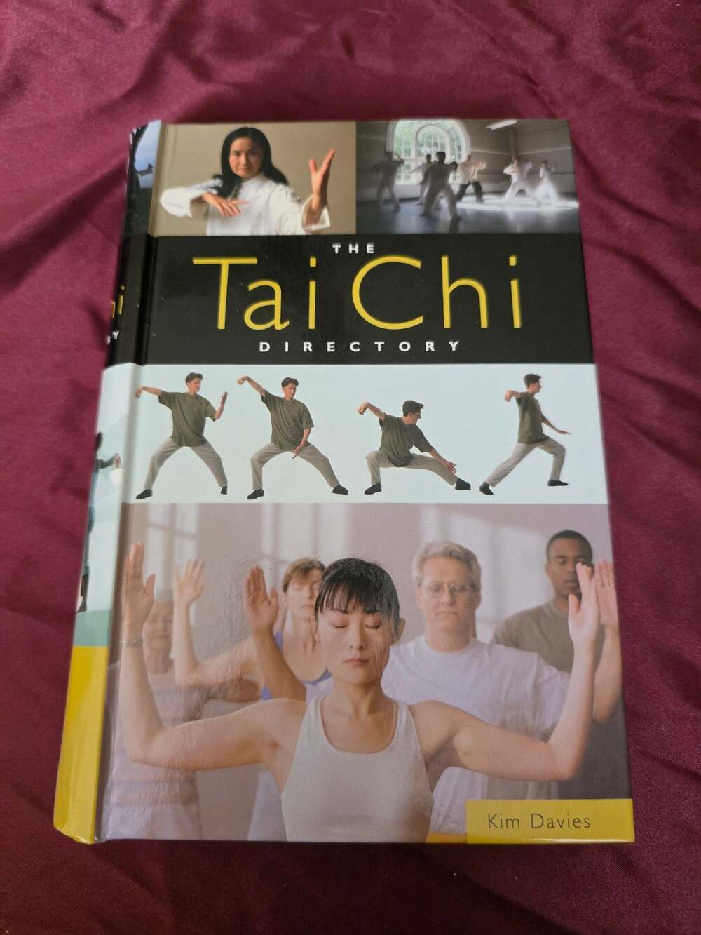 The Tai Chi Directory by Kim Davies (Hardcover)